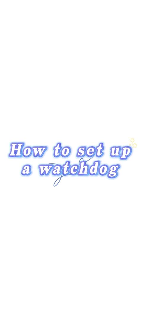 How to set up a watchdog